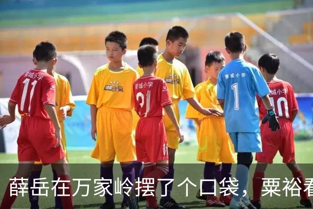 薛岳在万家岭摆了个口袋，粟裕看了一眼：这打法，他赢不了我