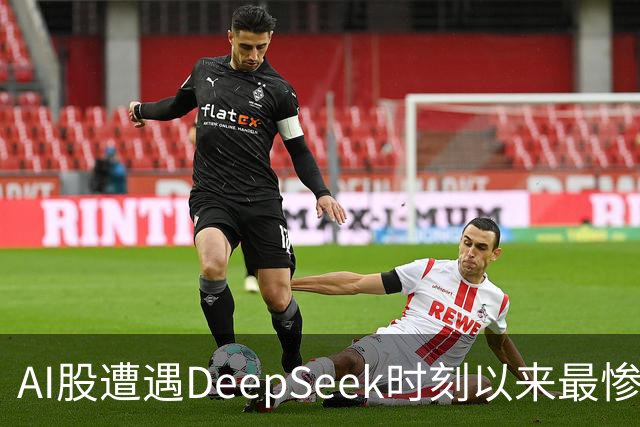AI股遭遇DeepSeek时刻以来最惨一跌！高盛动量组合抹去全年涨幅，半导体指数逼近年线